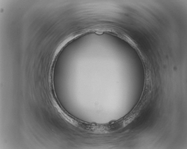 X0000053070803200508011938