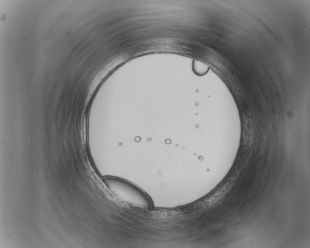 X0000053070804200508011938