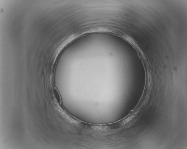 X0000053070805200508011938