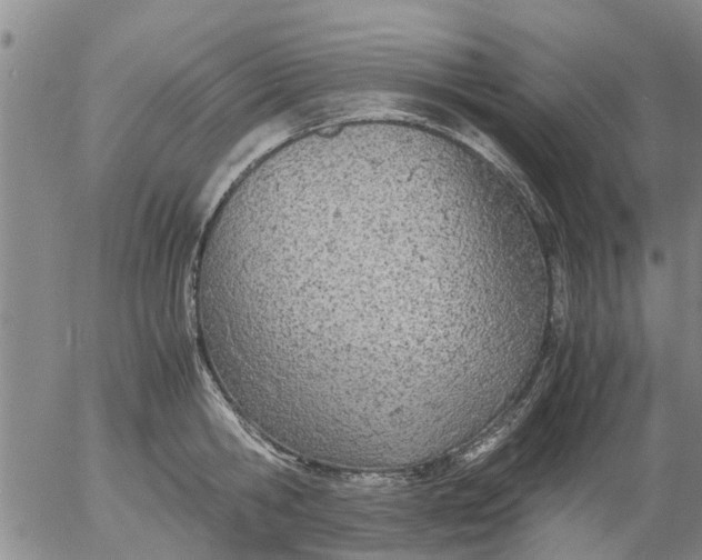 X0000053070806200508011938