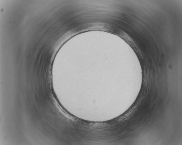 X0000053070808200508011938