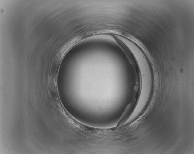 X0000053070809200508011938