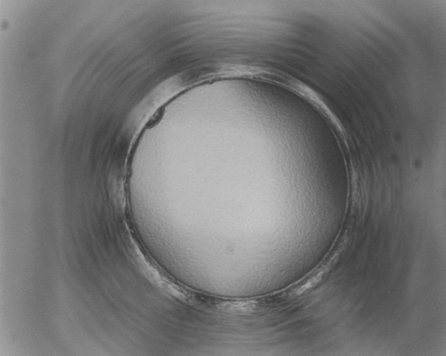 X0000053070810200508011938