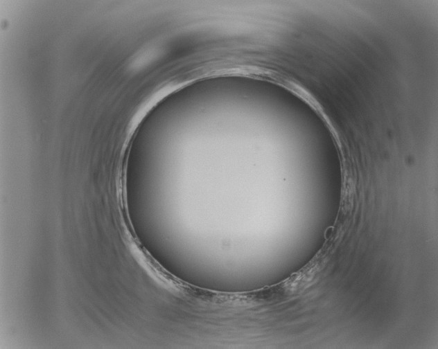 X0000053070811200508011938