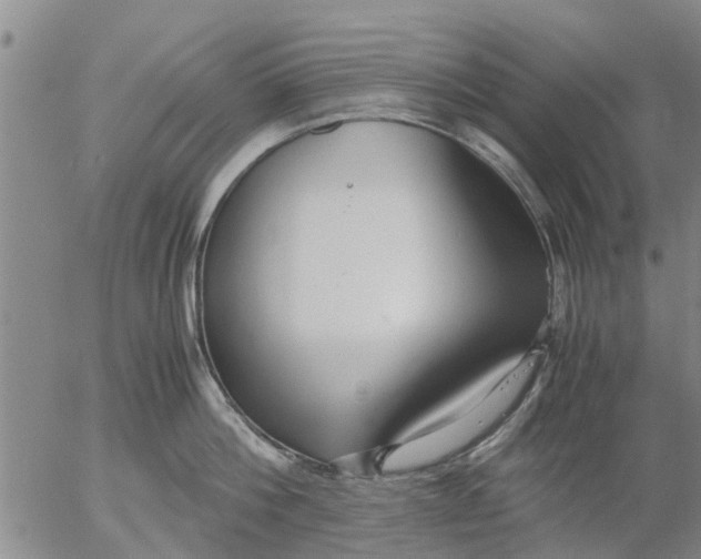 X0000053070812200508011938