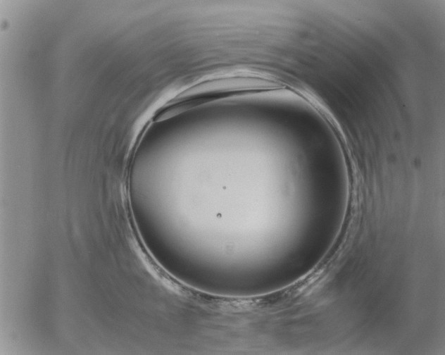 X0000053070813200508011938