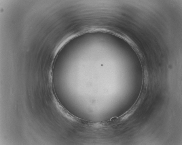 X0000053070814200508011938