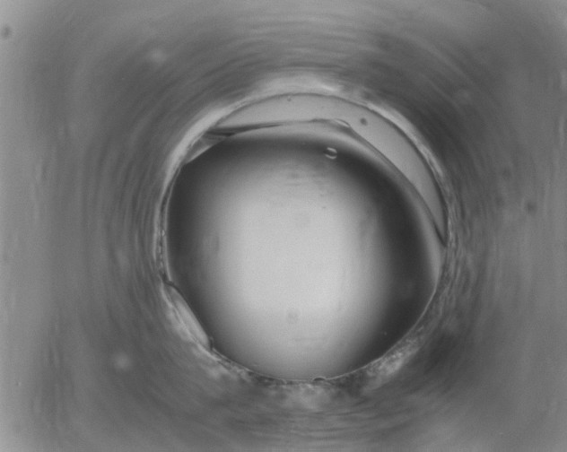 X0000053070815200508011938