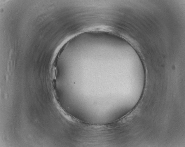 X0000053070816200508011938