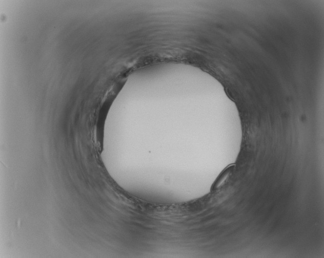 X0000053070817200508011937