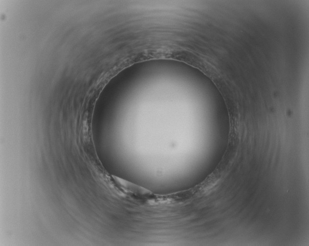 X0000053070818200508011937