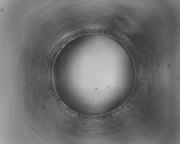 X0000053070821200508011938