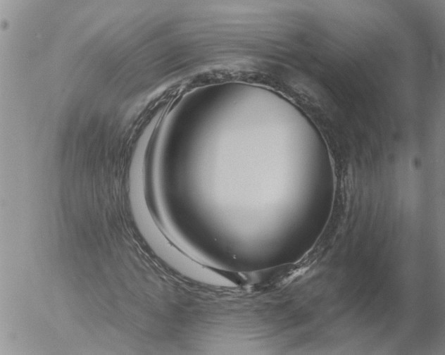 X0000053070822200508011938