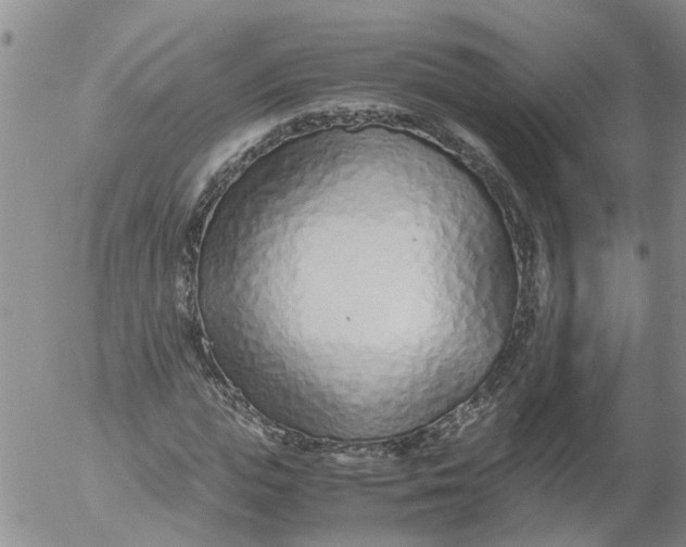 X0000053070823200508011938