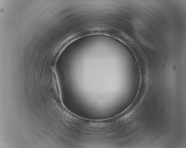 X0000053070825200508011938