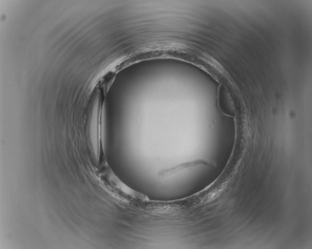 X0000053070826200508011938