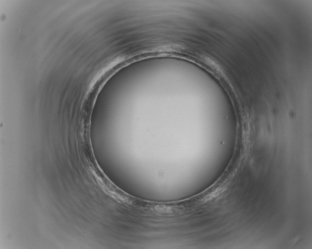 X0000053070827200508011938