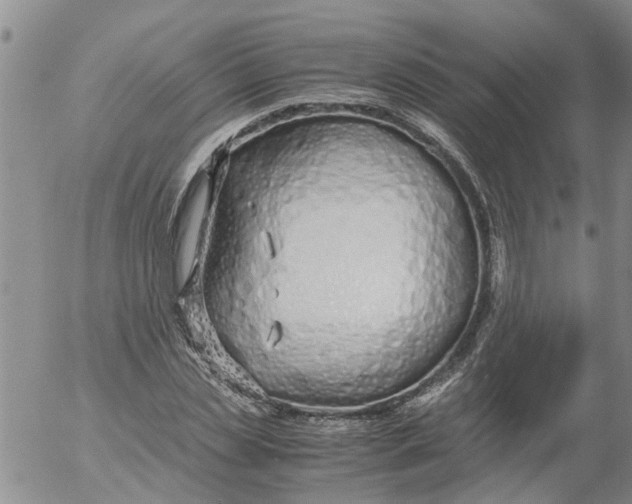 X0000053070829200508011938