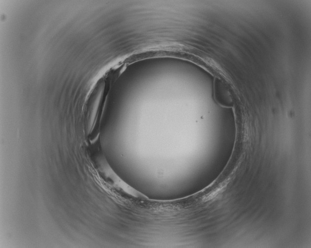 X0000053070830200508011938