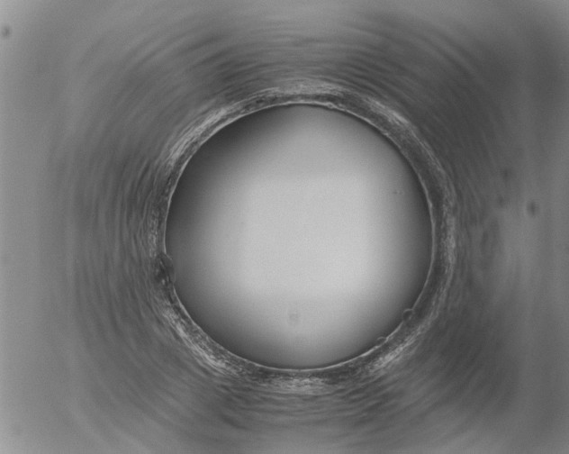 X0000053070833200508011938