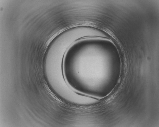 X0000053070834200508011938