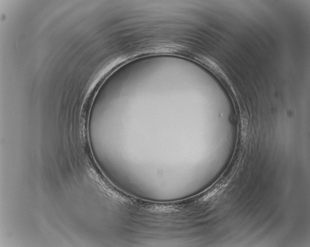 X0000053070835200508011938