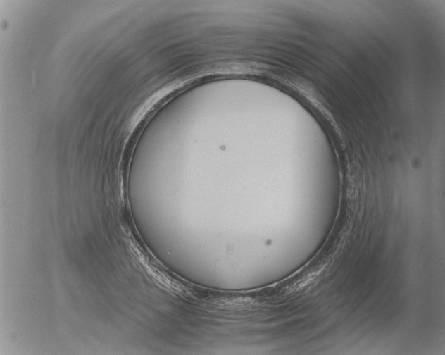 X0000053070837200508011938