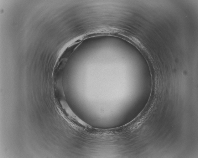 X0000053070838200508011938