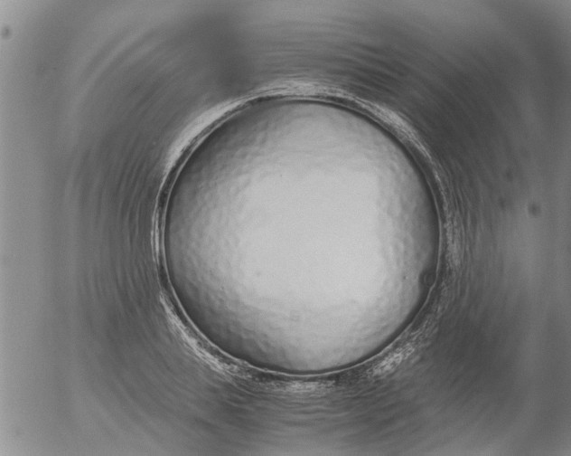 X0000053070839200508011938