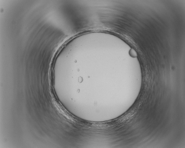 X0000053070840200508011938