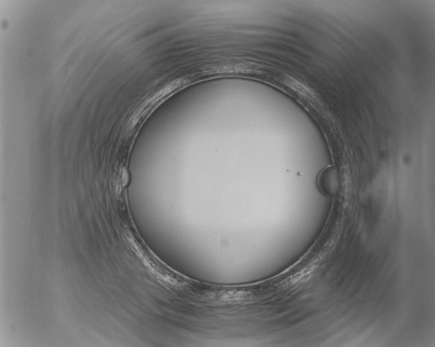 X0000053070841200508011938