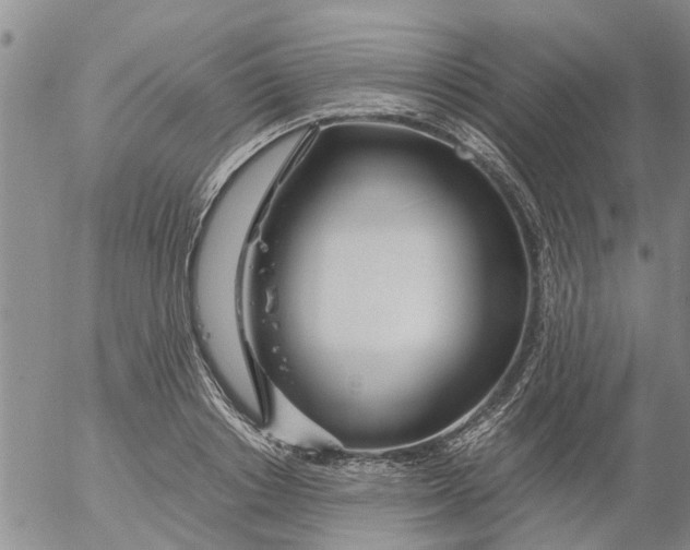 X0000053070842200508011938