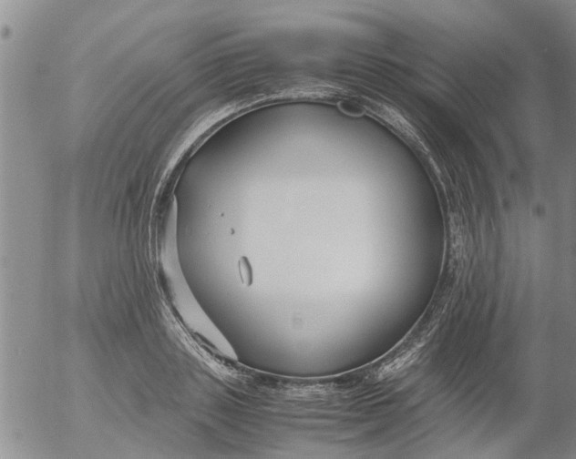 X0000053070843200508011938