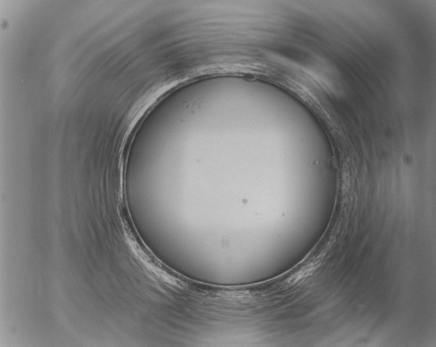 X0000053070844200508011938