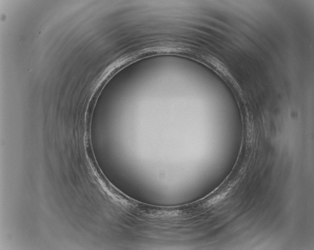 X0000053070845200508011938