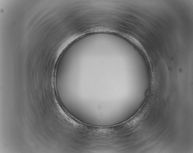 X0000053070847200508011938