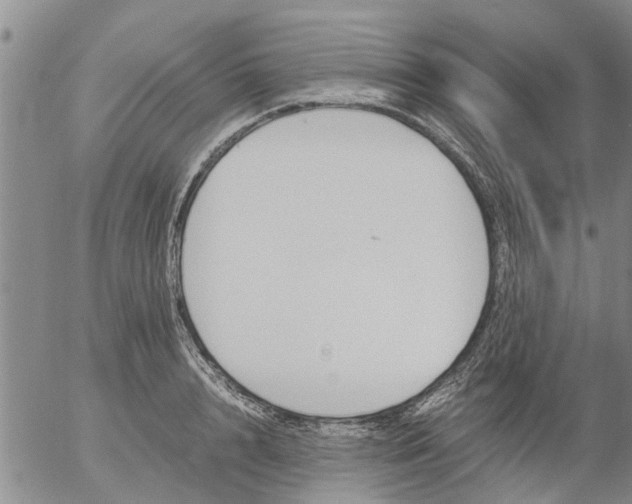 X0000053070848200508011938