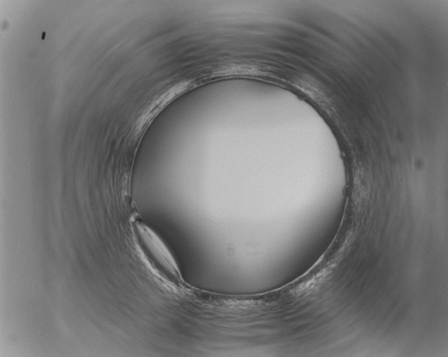 X0000053070849200508011938