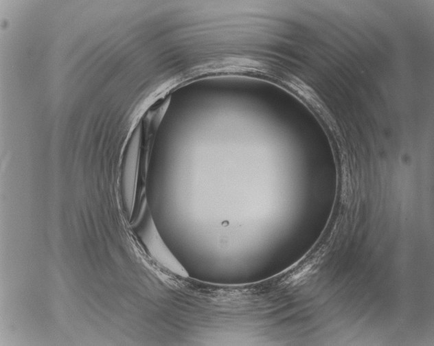 X0000053070850200508011938