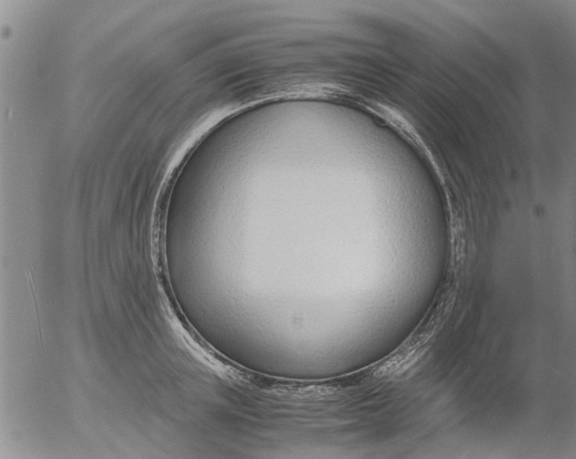 X0000053070851200508011938