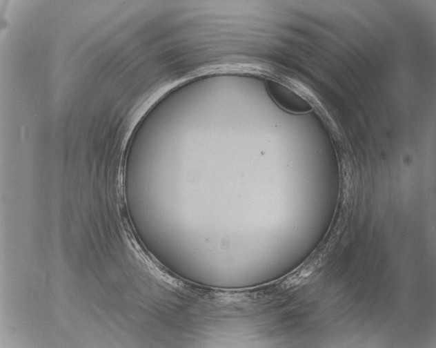 X0000053070852200508011938