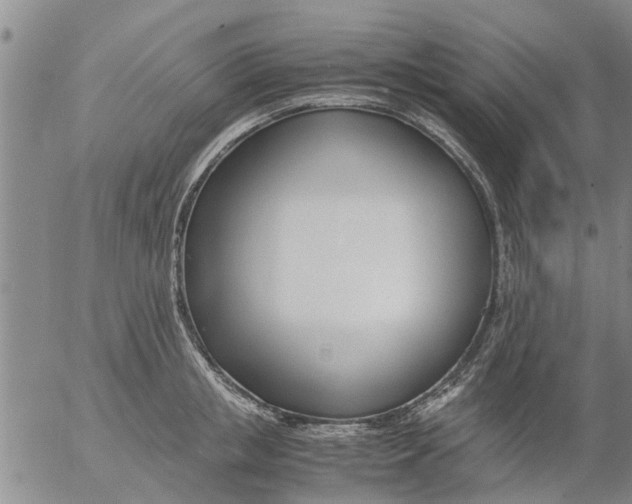 X0000053070853200508011938