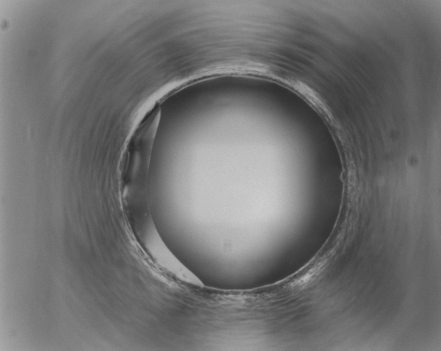 X0000053070854200508011938