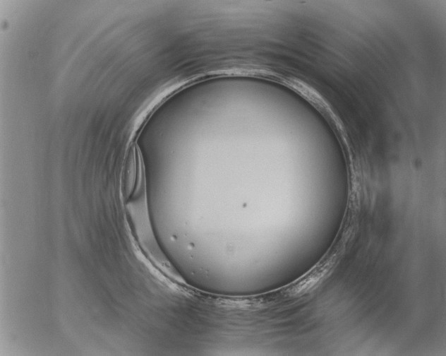 X0000053070855200508011938