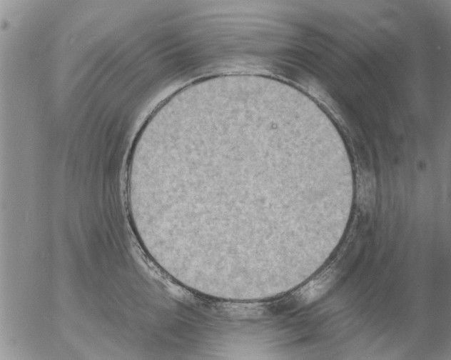 X0000053070856200508011938