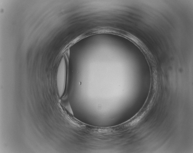 X0000053070857200508011938