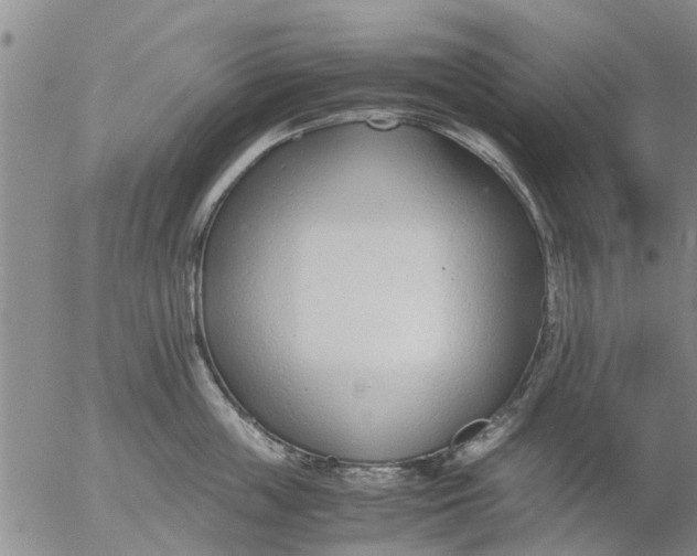 X0000053070859200508011938