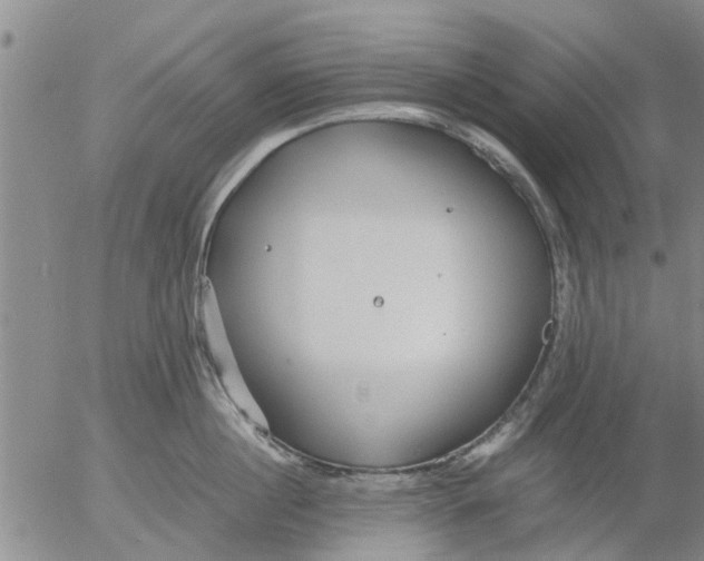 X0000053070860200508011938