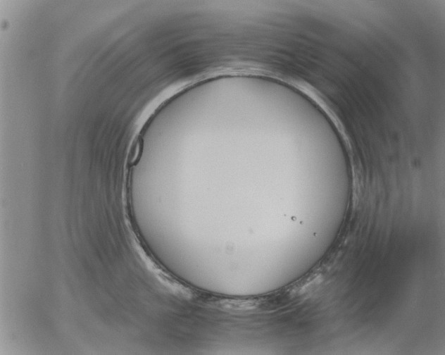 X0000053070861200508011938