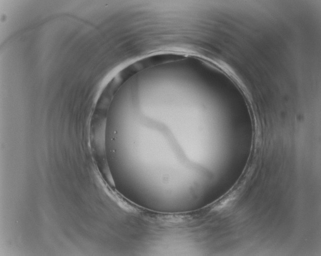 X0000053070862200508011938